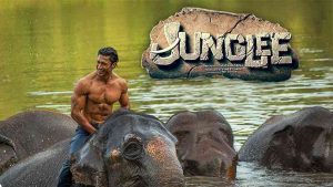 Read more about the article Junglee Box Office Collection